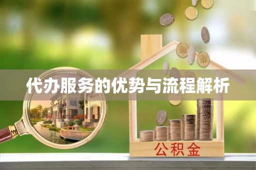 陆河代办服务的优势与流程解析