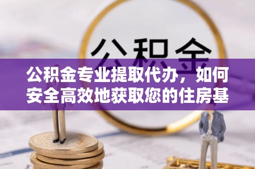 陆河公积金专业提取代办，如何安全高效地获取您的住房基金