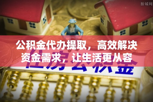 陆河公积金代办提取，高效解决资金需求，让生活更从容