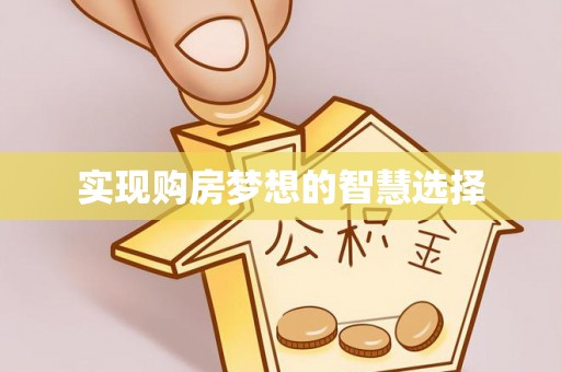 陆河实现购房梦想的智慧选择