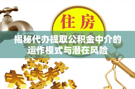 陆河揭秘代办提取公积金中介的运作模式与潜在风险
