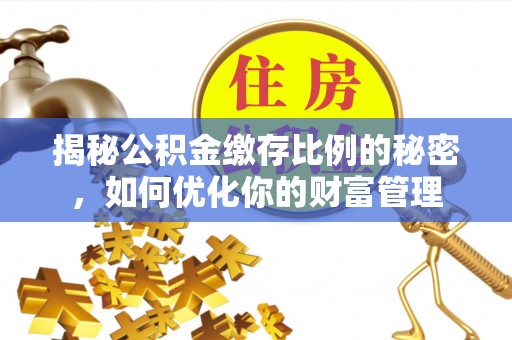 陆河揭秘公积金缴存比例的秘密，如何优化你的财富管理