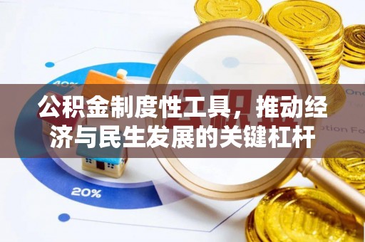 陆河公积金制度性工具，推动经济与民生发展的关键杠杆