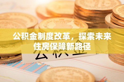 陆河公积金制度改革，探索未来住房保障新路径
