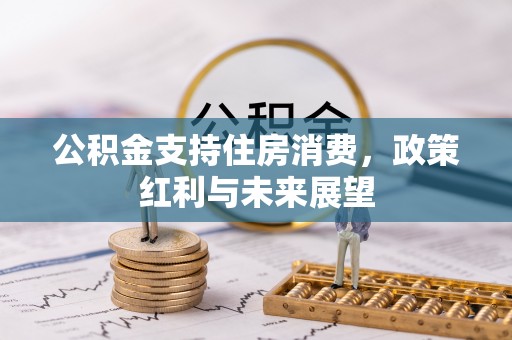 陆河公积金支持住房消费，政策红利与未来展望